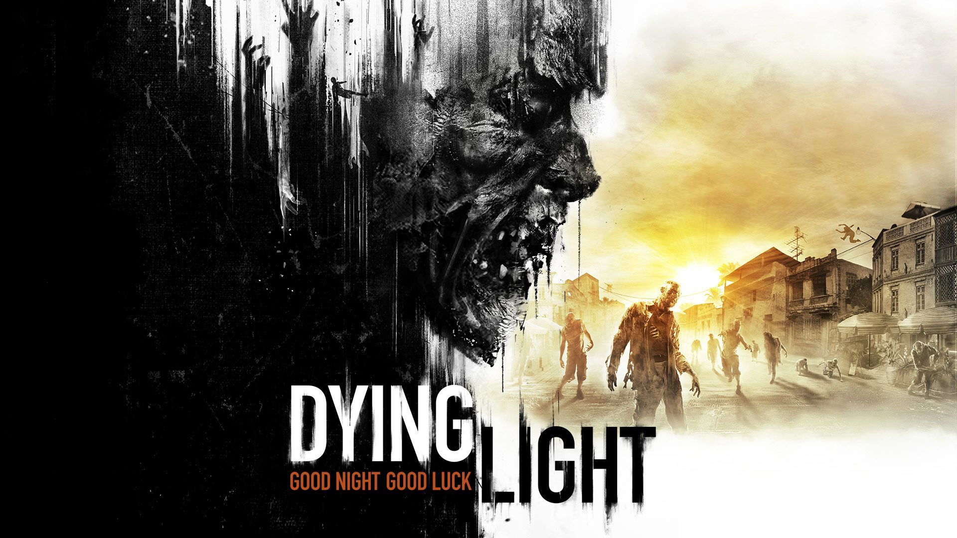 Dying Light. Коды квитанций (документов) на май 2024